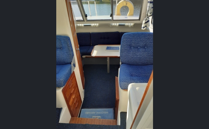 Bella Delphin-kuva-8